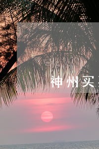 神州买买车贷款逾期了怎么办 神州买买车贷款逾期了怎么办