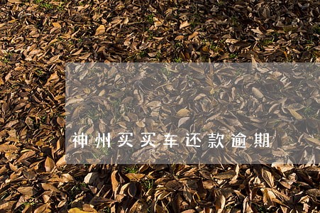 神州买买车还款逾期 神州买买车还款逾期