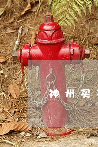 神州买买车还款逾期了 神州买买车还款逾期了