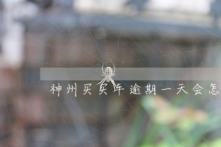 神州买买车逾期一天会怎样 神州买买车逾期一天会怎样
