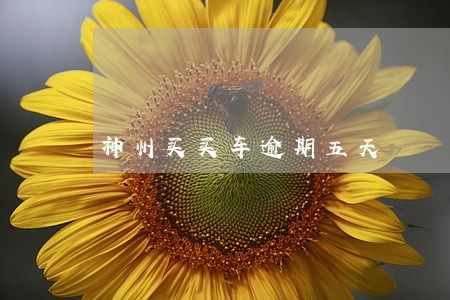 神州买买车逾期五天 神州买买车逾期五天
