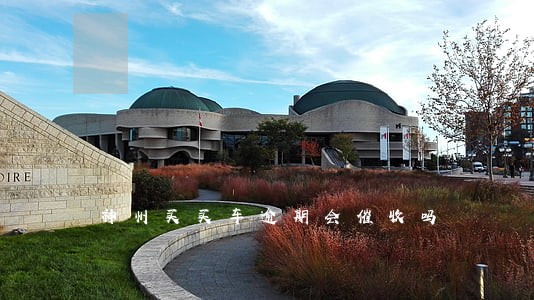 神州买买车逾期会催收吗 神州买买车逾期会催收吗