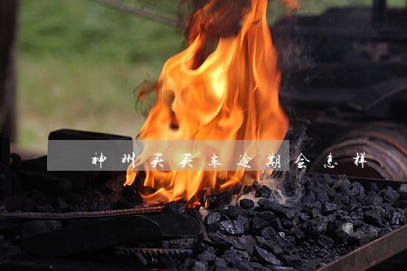 神州买买车逾期会怎样 神州买买车逾期会怎样
