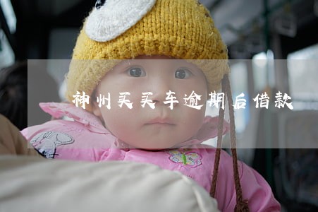神州买买车逾期后借款 神州买买车逾期后借款