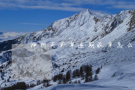 神州买买车逾期收车怎么收回来 神州买买车逾期收车怎么收回来