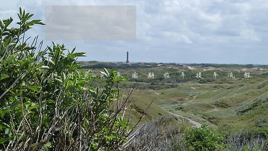 神州买买车逾期收车提车流程 神州买买车逾期收车提车流程