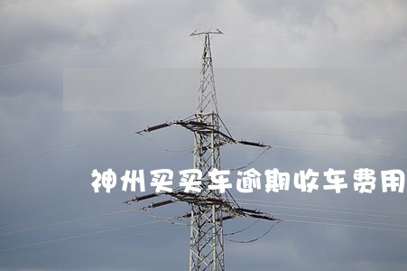 神州买买车逾期收车费用 神州买买车逾期收车费用