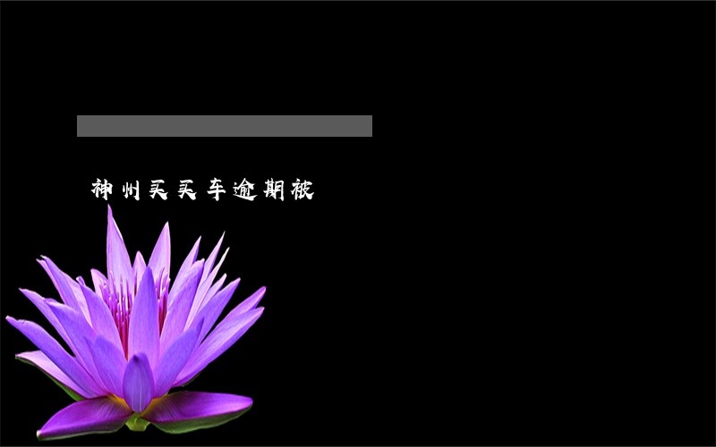 神州买买车逾期被 神州买买车逾期被