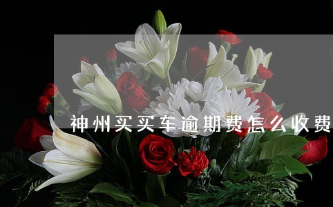 神州买买车逾期费怎么收费 神州买买车逾期费怎么收费