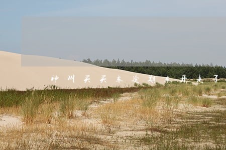 神州买买车逾期车开走了怎么办 神州买买车逾期车开走了怎么办