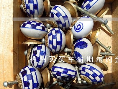 神州买买车逾期违约金 神州买买车逾期违约金