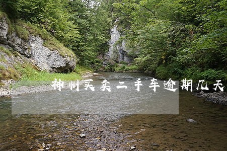 神州买卖二手车逾期几天拖车 神州买卖二手车逾期几天拖车