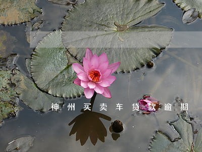 神州买卖车贷款逾期 神州买卖车贷款逾期