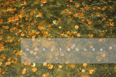 神州买卖车逾期后借款 神州买卖车逾期后借款