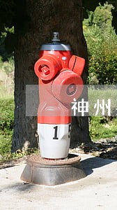 神州买车还款逾期一天 神州买车还款逾期一天