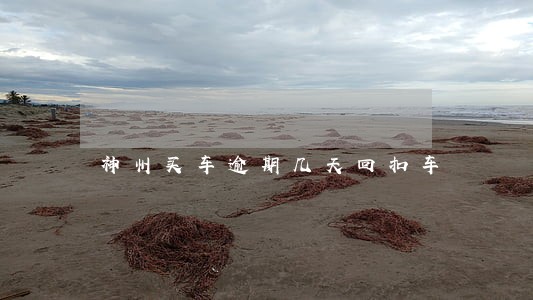 神州买车逾期几天回扣车 神州买车逾期几天回扣车
