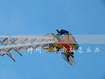 神州买车逾期怎么办