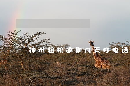 神州租机逾期几天打电话 神州租机逾期几天打电话