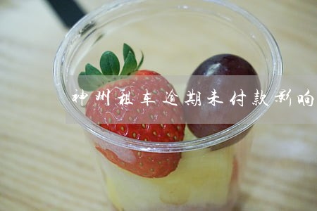 神州租车逾期未付款影响征信吗 神州租车逾期未付款影响征信吗