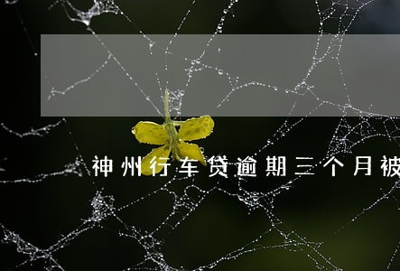 神州行车贷逾期三个月被拍卖 神州行车贷逾期三个月被拍卖