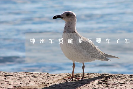 神州车贷逾期不要车了怎么处 神州车贷逾期不要车了怎么处