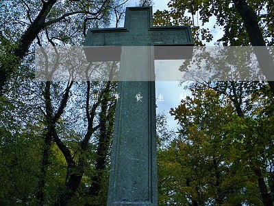 神州车贷逾期怎么样 神州车贷逾期怎么样