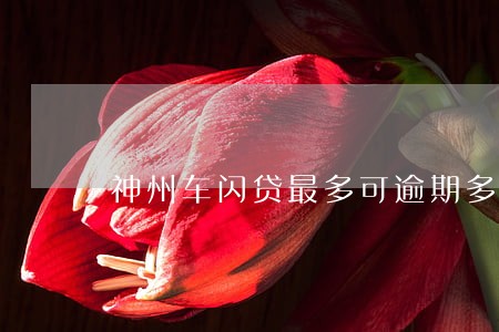 神州车闪贷最多可逾期多少天 神州车闪贷最多可逾期多少天