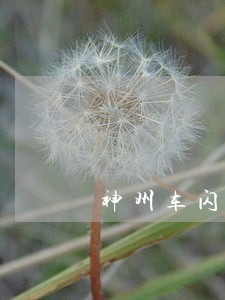 神州车闪贷没逾期会被拖车么 神州车闪贷没逾期会被拖车么