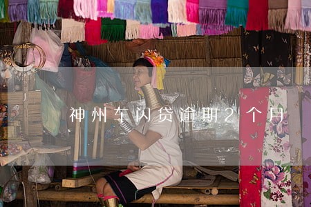 神州车闪贷逾期2个月 神州车闪贷逾期2个月