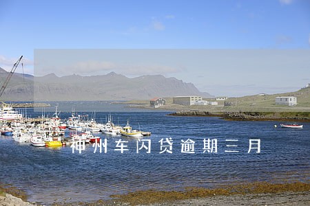 神州车闪贷逾期三月 神州车闪贷逾期三月