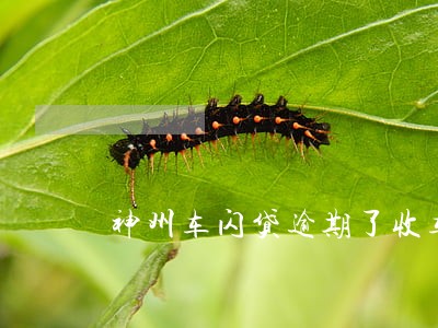神州车闪贷逾期了收车能报警吗 神州车闪贷逾期了收车能报警吗