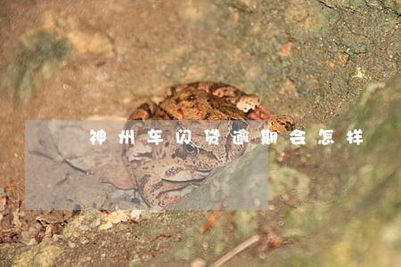 神州车闪贷逾期会怎样 神州车闪贷逾期会怎样
