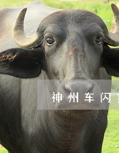神州车闪贷逾期六天就拖车 神州车闪贷逾期六天就拖车