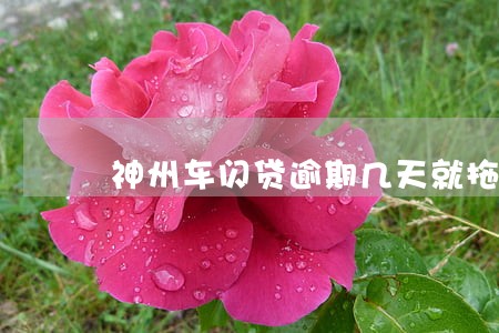 神州车闪贷逾期几天就拖车 神州车闪贷逾期几天就拖车