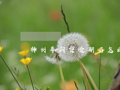 神州车闪贷逾期后怎么还款