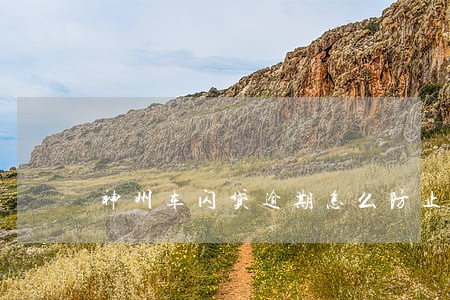 神州车闪贷逾期怎么防止被拖车