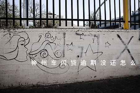 神州车闪贷逾期没还怎么办 神州车闪贷逾期没还怎么办
