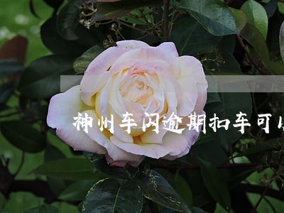 神州车闪逾期扣车可以协商吗 神州车闪逾期扣车可以协商吗