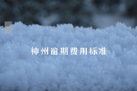 神州逾期费用标准 神州逾期费用标准
