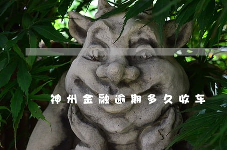 神州金融逾期多久收车 神州金融逾期多久收车