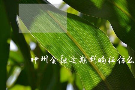 神州金融逾期影响征信么 神州金融逾期影响征信么