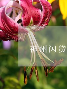 神州闪贷逾期了怎么提醒 神州闪贷逾期了怎么提醒