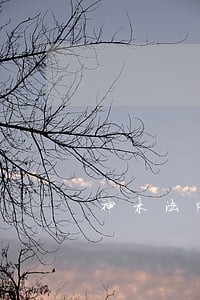 神木法院庭审李正直播网 神木法院庭审李正直播网