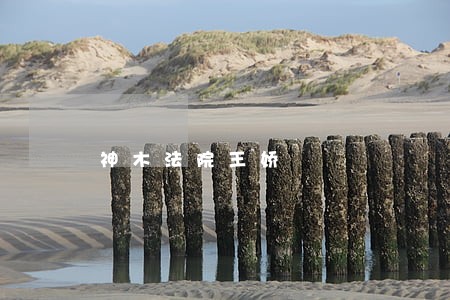 神木法院王娇 神木法院王娇