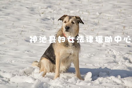 神池县妇女法律援助中心 神池县妇女法律援助中心