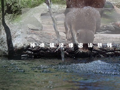 神湾镇法律咨询热线 神湾镇法律咨询热线
