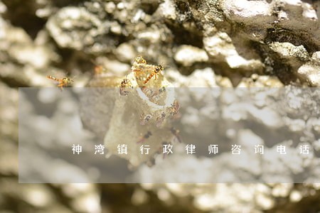 神湾镇行政律师咨询电话