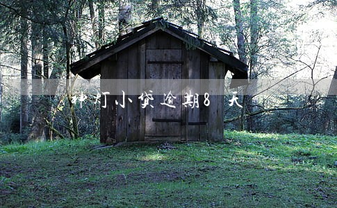 神灯小贷逾期8天 神灯小贷逾期8天