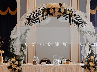 神灯小贷逾期一天还能用吗 神灯小贷逾期一天还能用吗