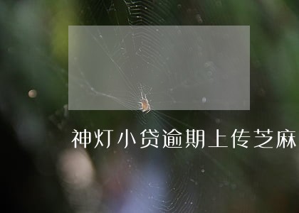 神灯小贷逾期上传芝麻 神灯小贷逾期上传芝麻